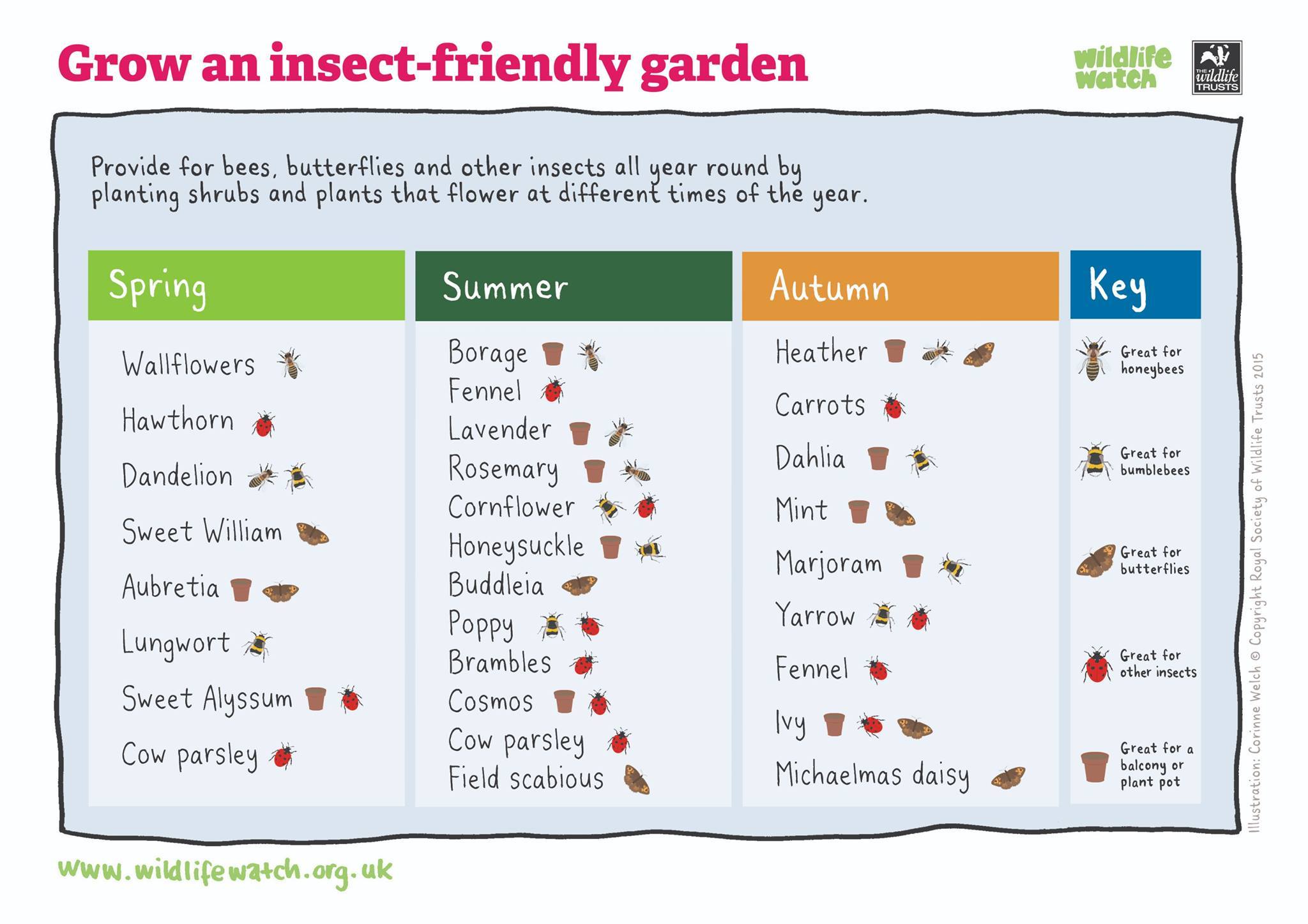 Wildlife Trusts Planting for Bees Guide