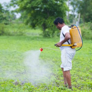 Worker spraying soybean field in India