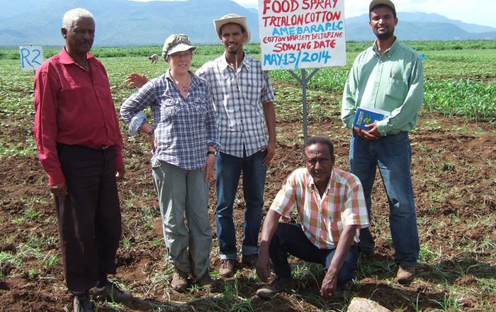 Cotton without highly hazardous pesticides - an Ethiopian experience