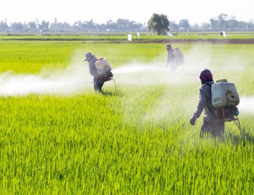 Pesticide bans and why they work