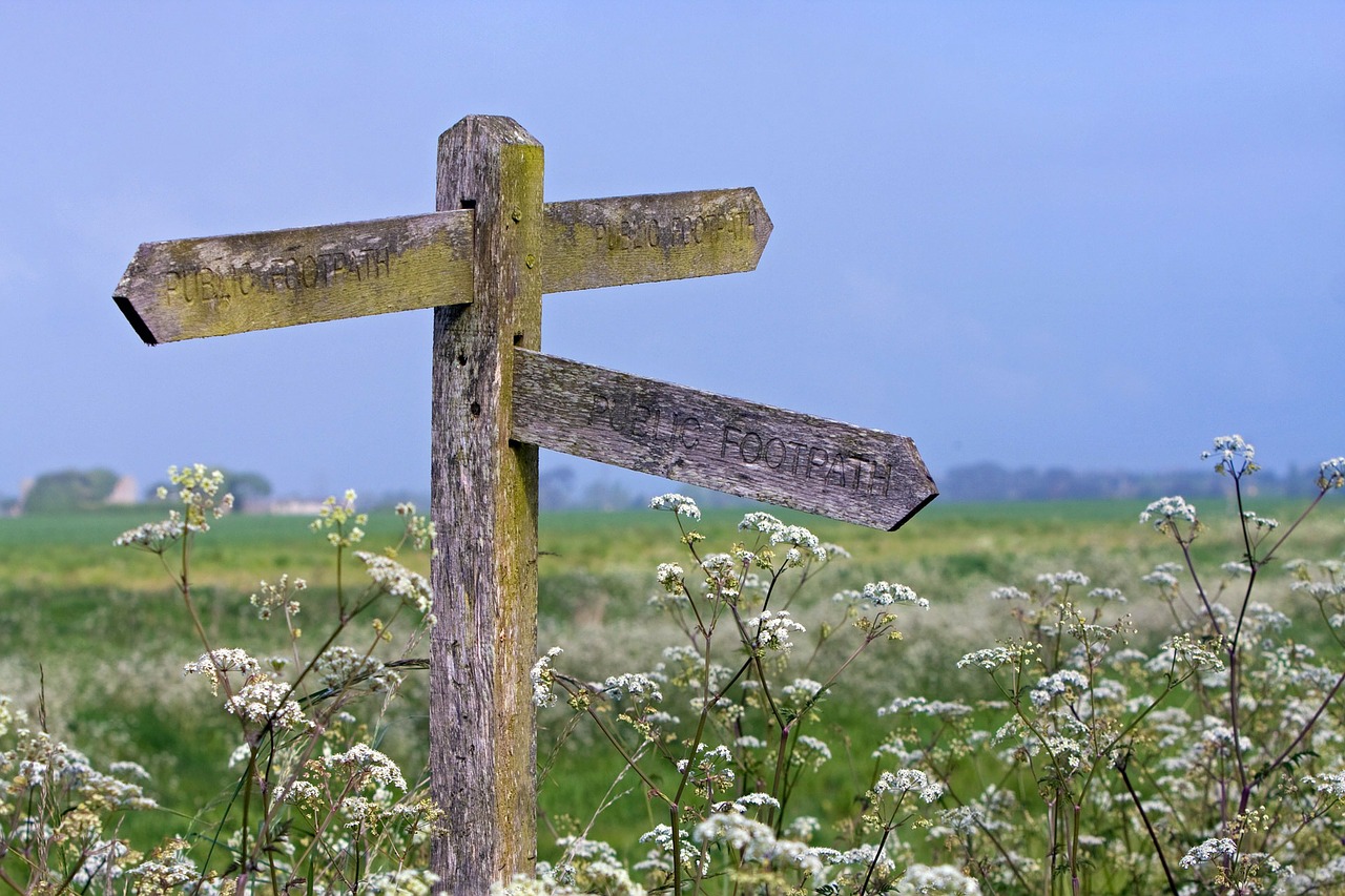 The UK is currently at a major crossroads in terms of its relationship to pesticides. The UK is currently at a major crossroads in terms of its relationship to pesticides.