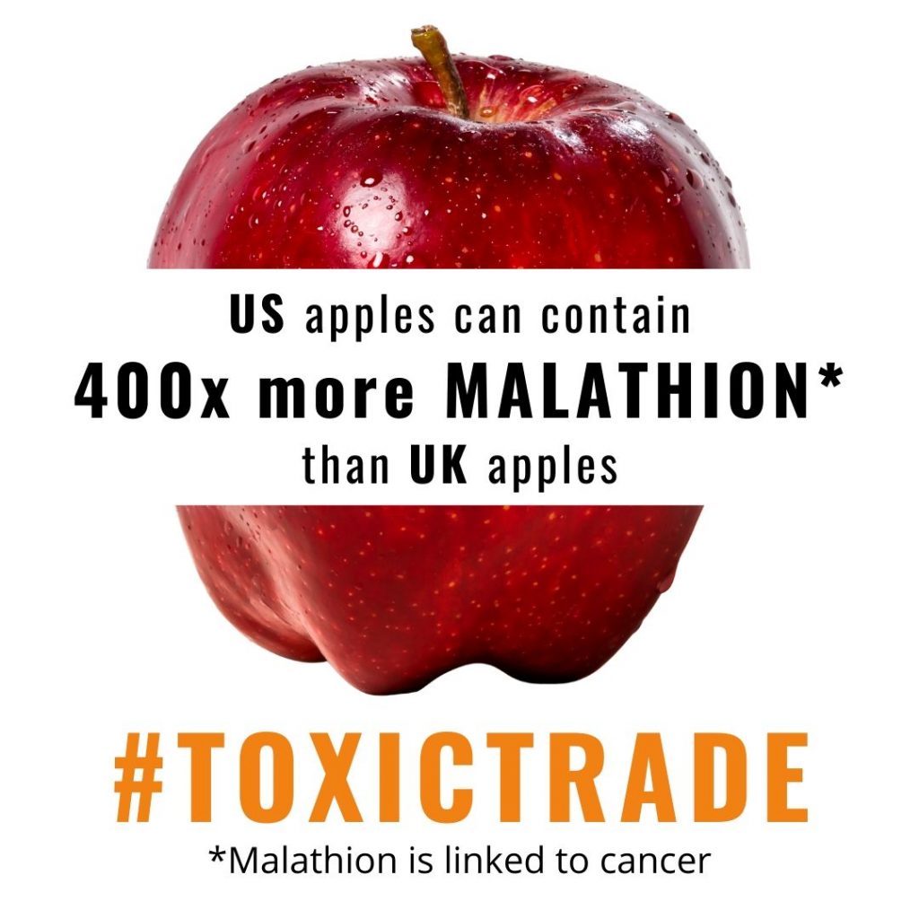 US apples can contain 400 times more malathion than UK apples US apples can contain 400 times more malathion than UK apples