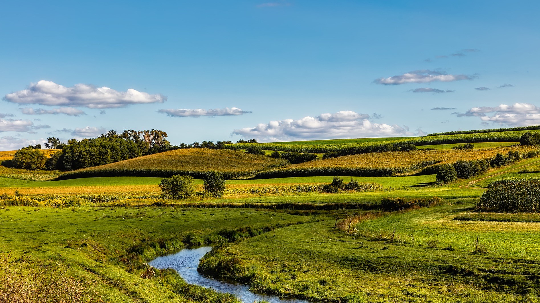 Pesticides have detrimental effects on our waterways